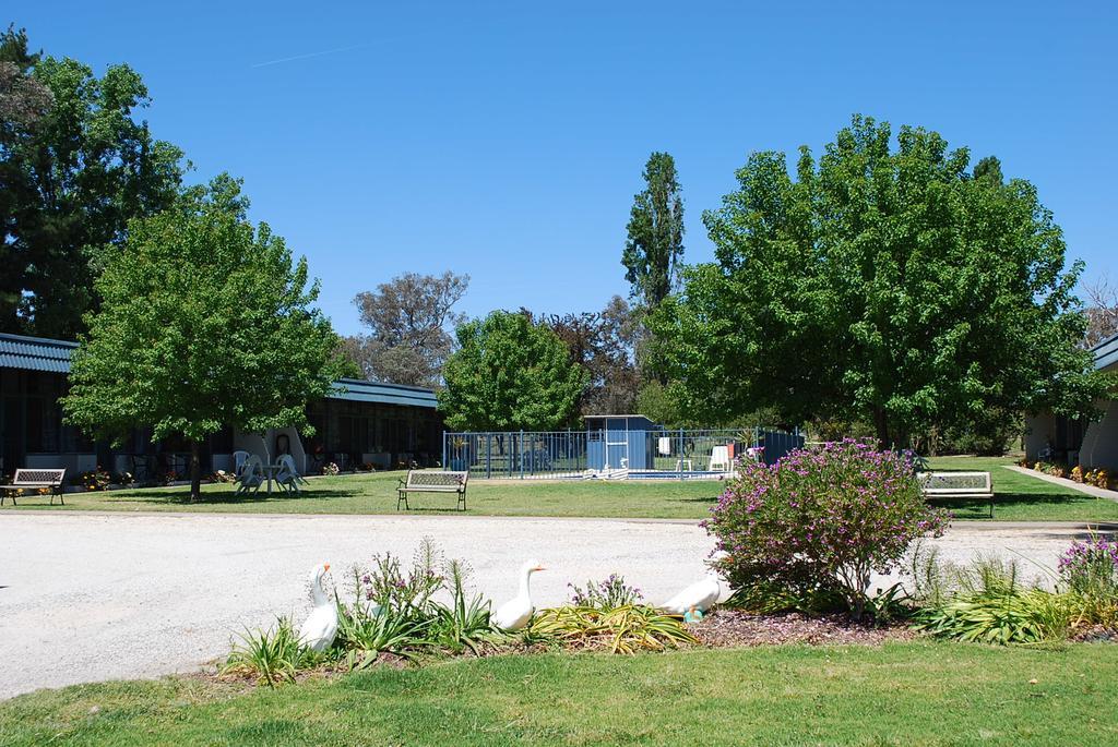 Holbrook Settlers Motel Exterior photo