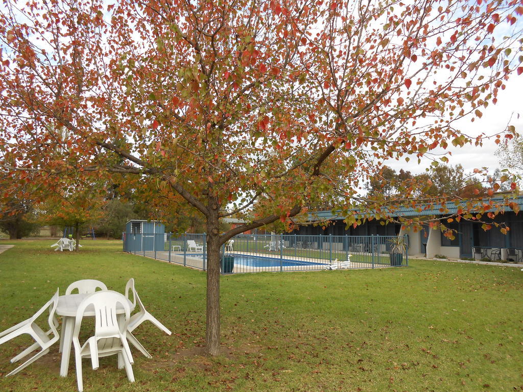 Holbrook Settlers Motel Exterior photo