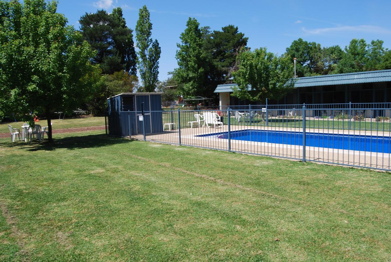 Holbrook Settlers Motel Room photo